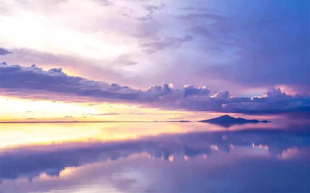 winnieharlow超模大赛,世界顶级超模winnieharlow