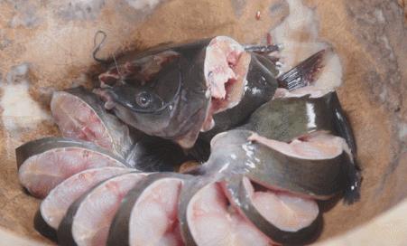 云南特色蒸汽石锅鱼什么鱼最好,特色美味云南蒸汽石锅鱼