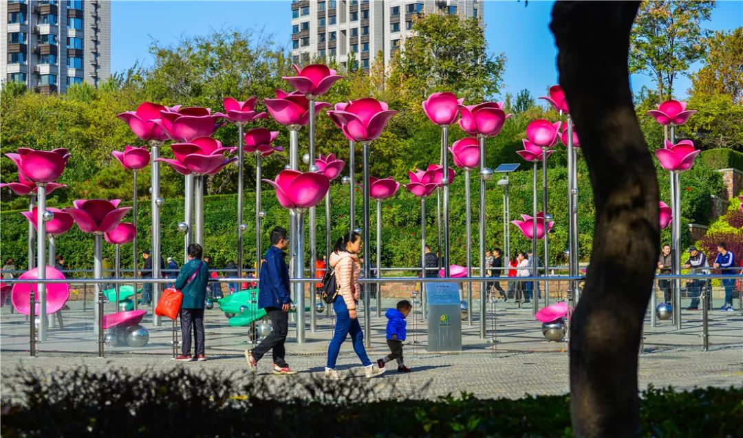 夏日好去处济南森林公园,济南森林公园雪景