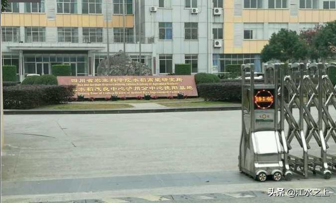 泸州曾经的顶尖科研机构：航天四院、西研院、三号信箱、水稻所