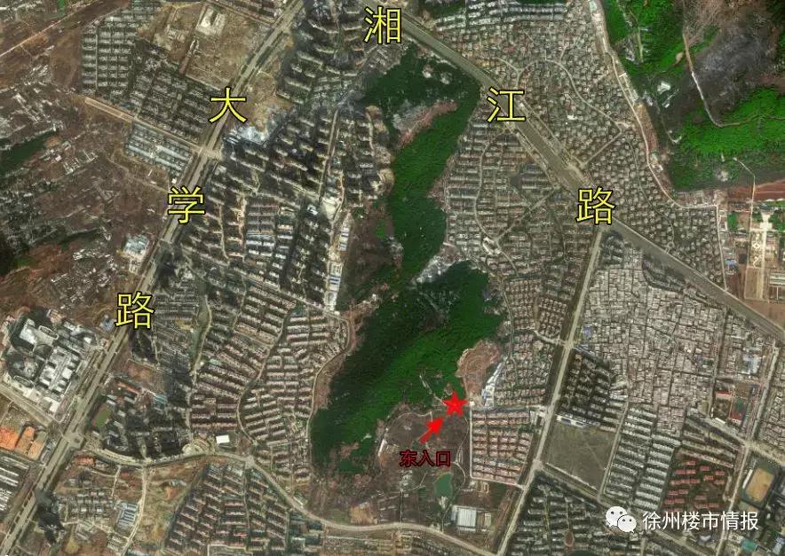 徐州森林公园,徐州森林公园开放时间最新