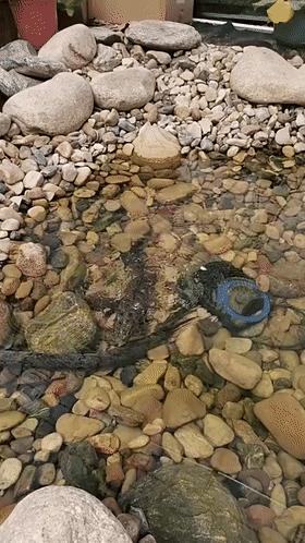 浙江一男子钓鱼差点被鱼拉下水,男子钓鱼被鱼咬后续