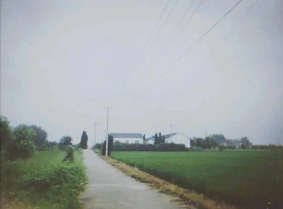 青春实践行NO.11|志愿者们的扬州“百景”，等你来赏