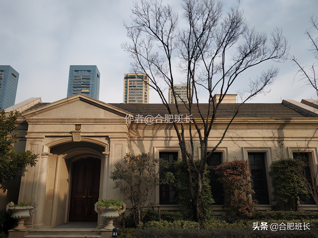 可以传世的房子格局,合肥汤臣一品海景房