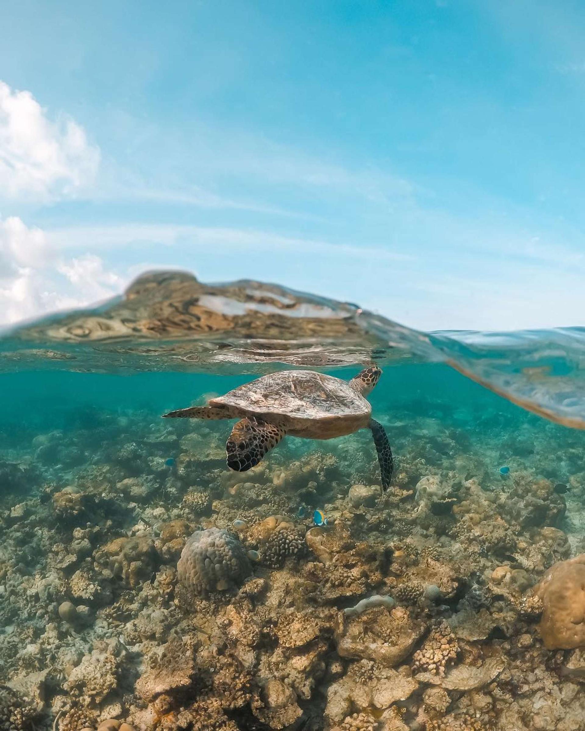 马尔代夫卡尼岛可以去吗,马尔代夫订岛攻略