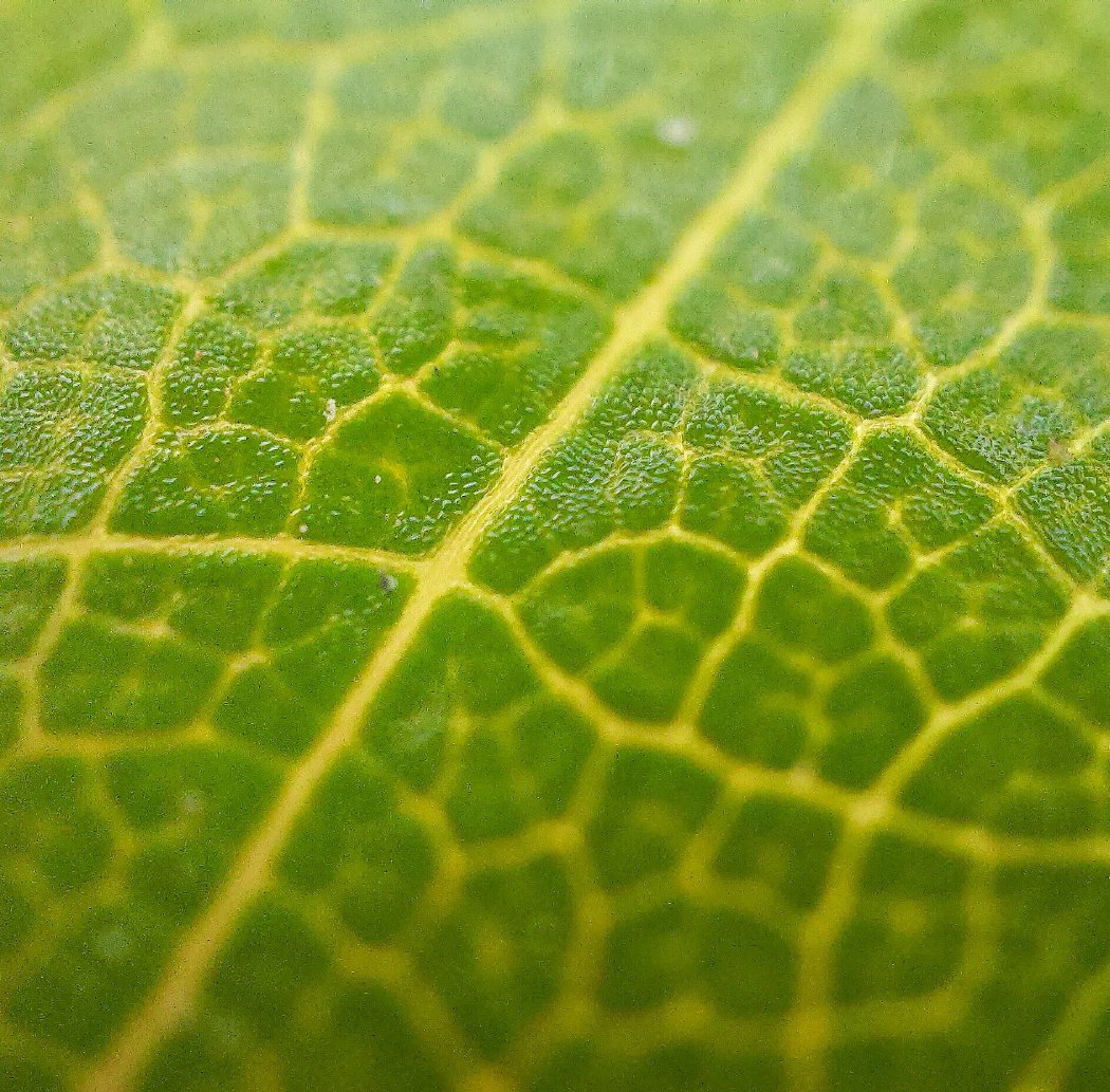 微观世界大自然,微观世界的神奇视频