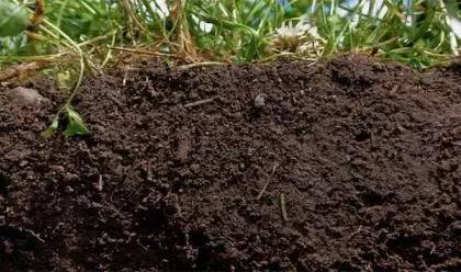 关于地球的10条知识,关于地球的几个小知识你都知道吗