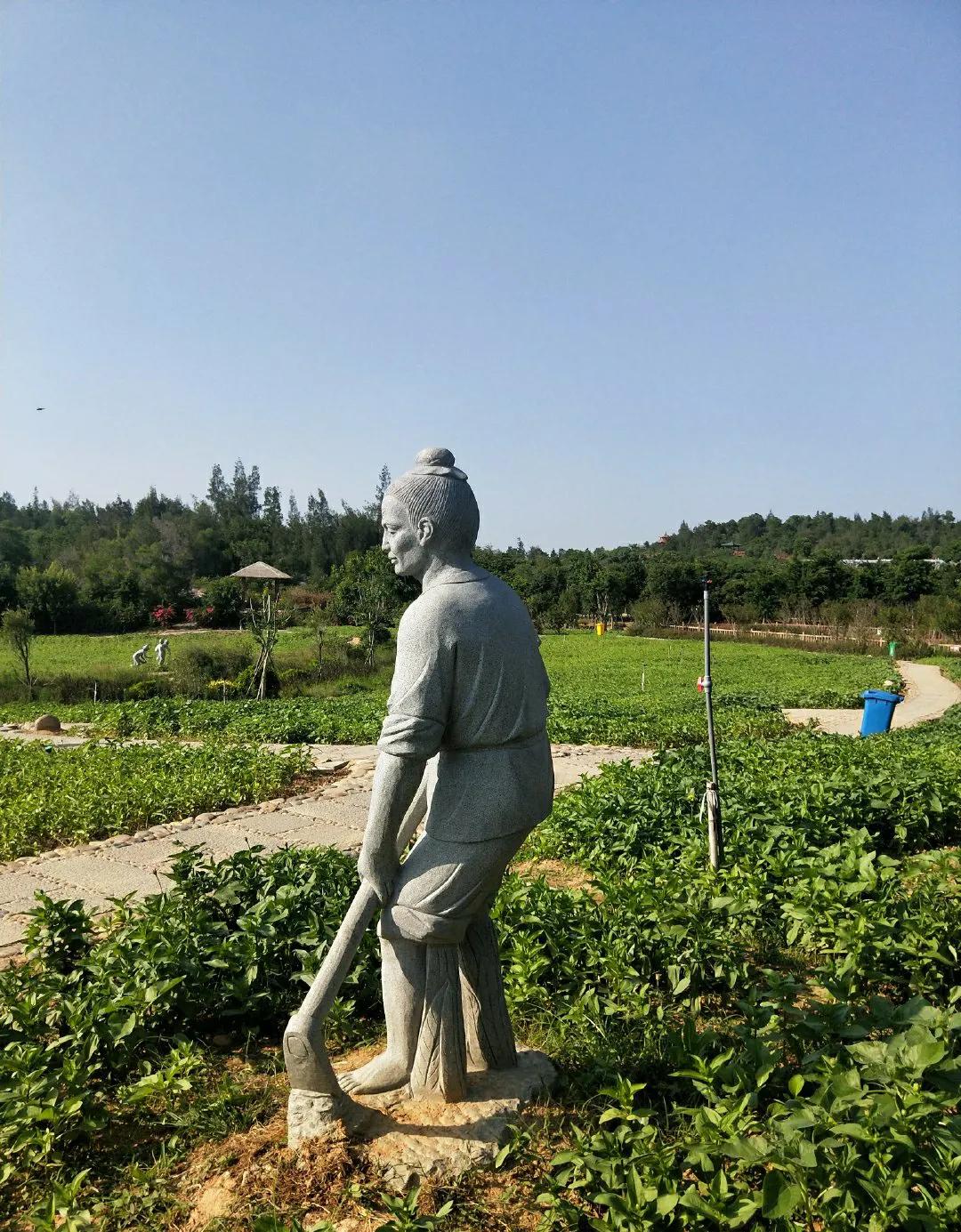 厦门香山有什么风景,厦门翔安必去8个景点香山