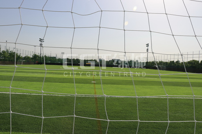 专业的人造草坪哪家质量好,报价合理的人造草坪