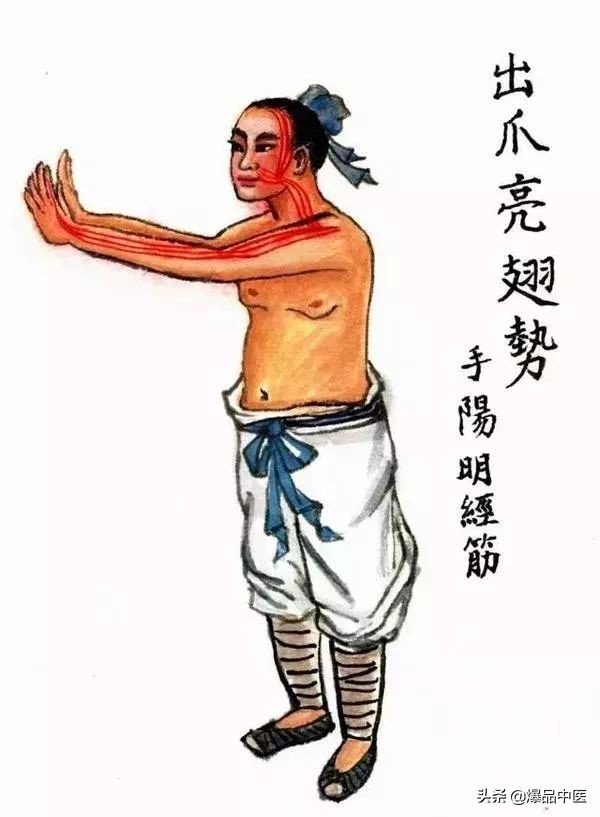 十二经筋连接动态图,十二经筋的图解