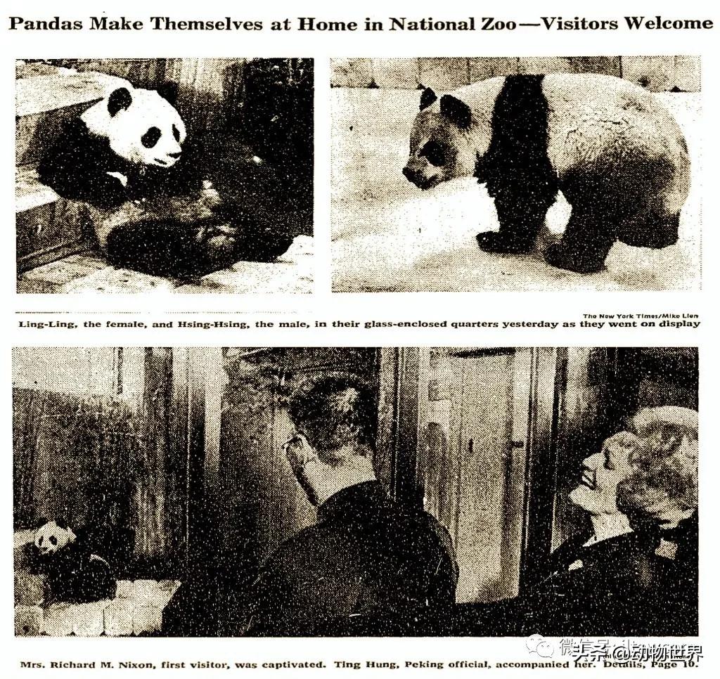 世界各国的著名动物,美国最著名的动物