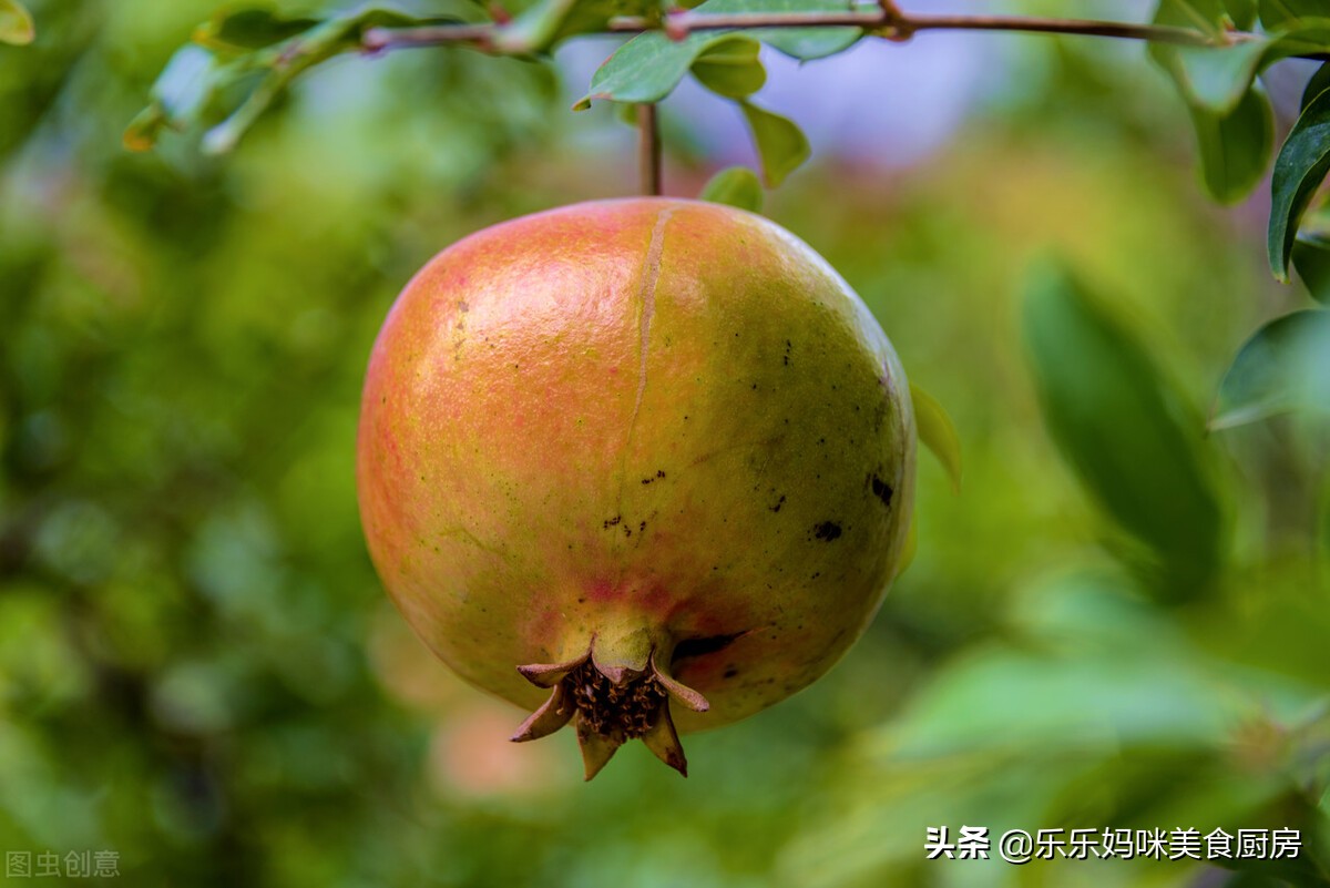 秋果吃多了会怎么样,常吃秋果有什么好处