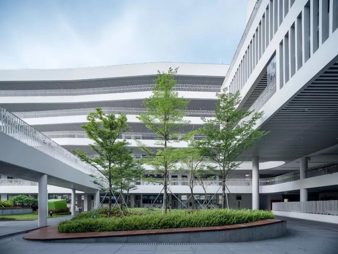 深圳前海小学好不好,前海小学在深圳市排名