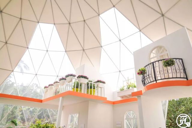 深圳史上最大最美的花展来啦,走进深圳仙湖植物园的国际花展