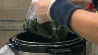 过海关被取消签证还能再申请吗,出国被海关劝返签证还能用吗