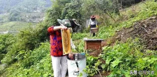 萍乡长丰景色,萍乡长丰梯田