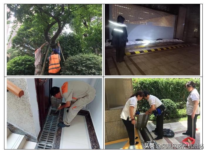 烟花过境宁波,烟花过境淮北