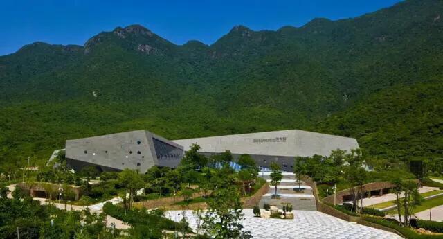 有哪些好玩的地方适合儿童深圳,深圳适合小朋友玩的8个免费景点