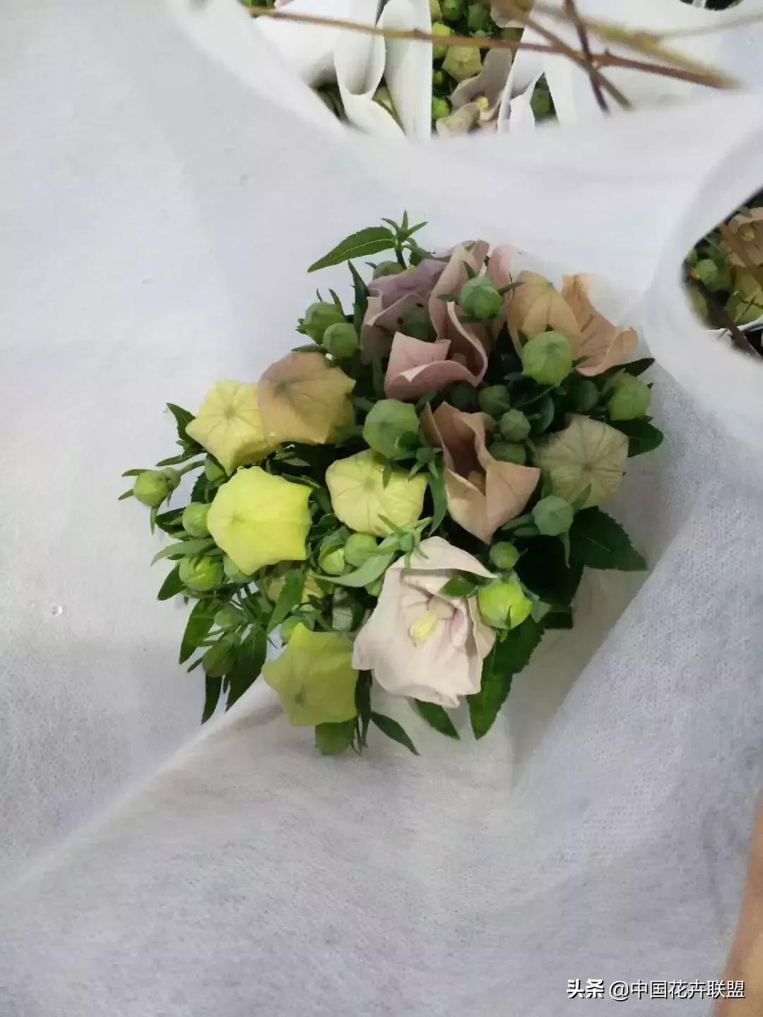 春天花市有哪些花材,便宜又大把的花材有哪些