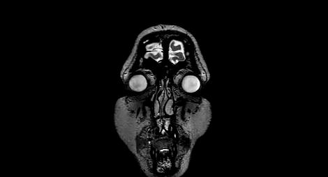 危险危险危险，去医院看病却吃了一记致命「电磁炮」？