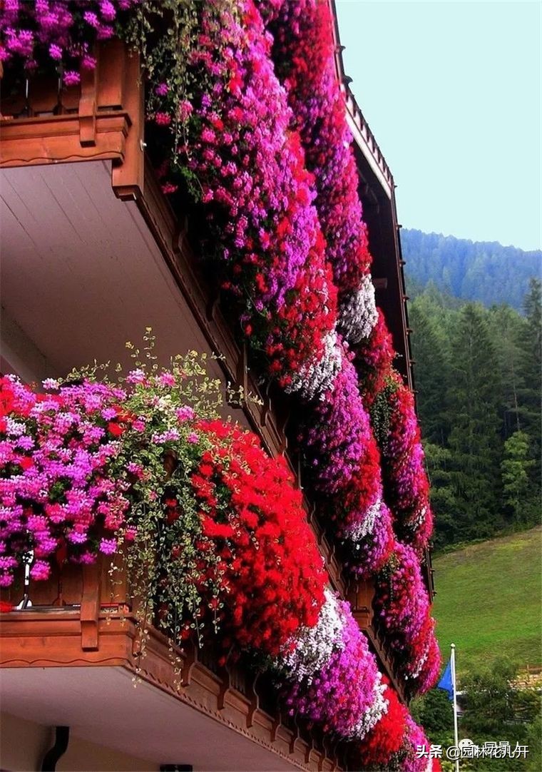 阳台花箱景观设计,景观花架花箱设计
