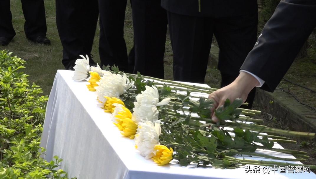 再见，标哥！面对手持利刃的歹徒，他用身体挡住了尖刀！