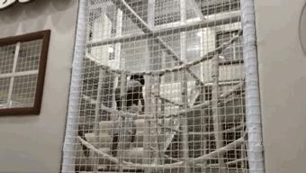 北京亲子酒店民宿推荐,盘点五家仪式感满满的亲子民宿