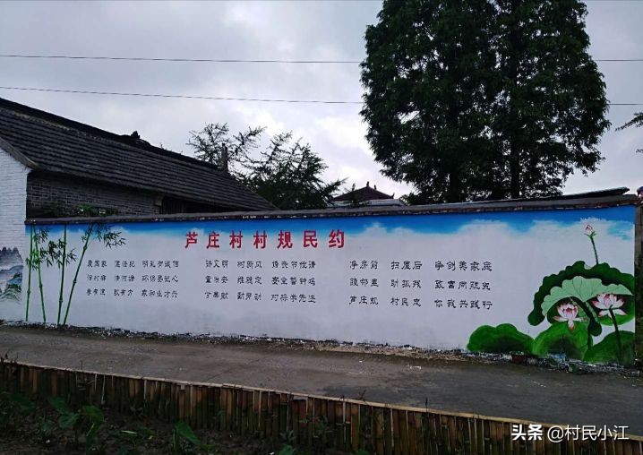 形容家乡的生态环境的优美语句,谈谈家乡生态环境