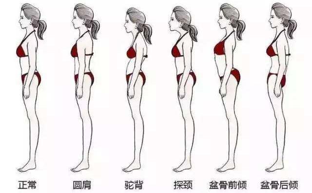 正骨是不是可以增高,明星正骨有哪些好处