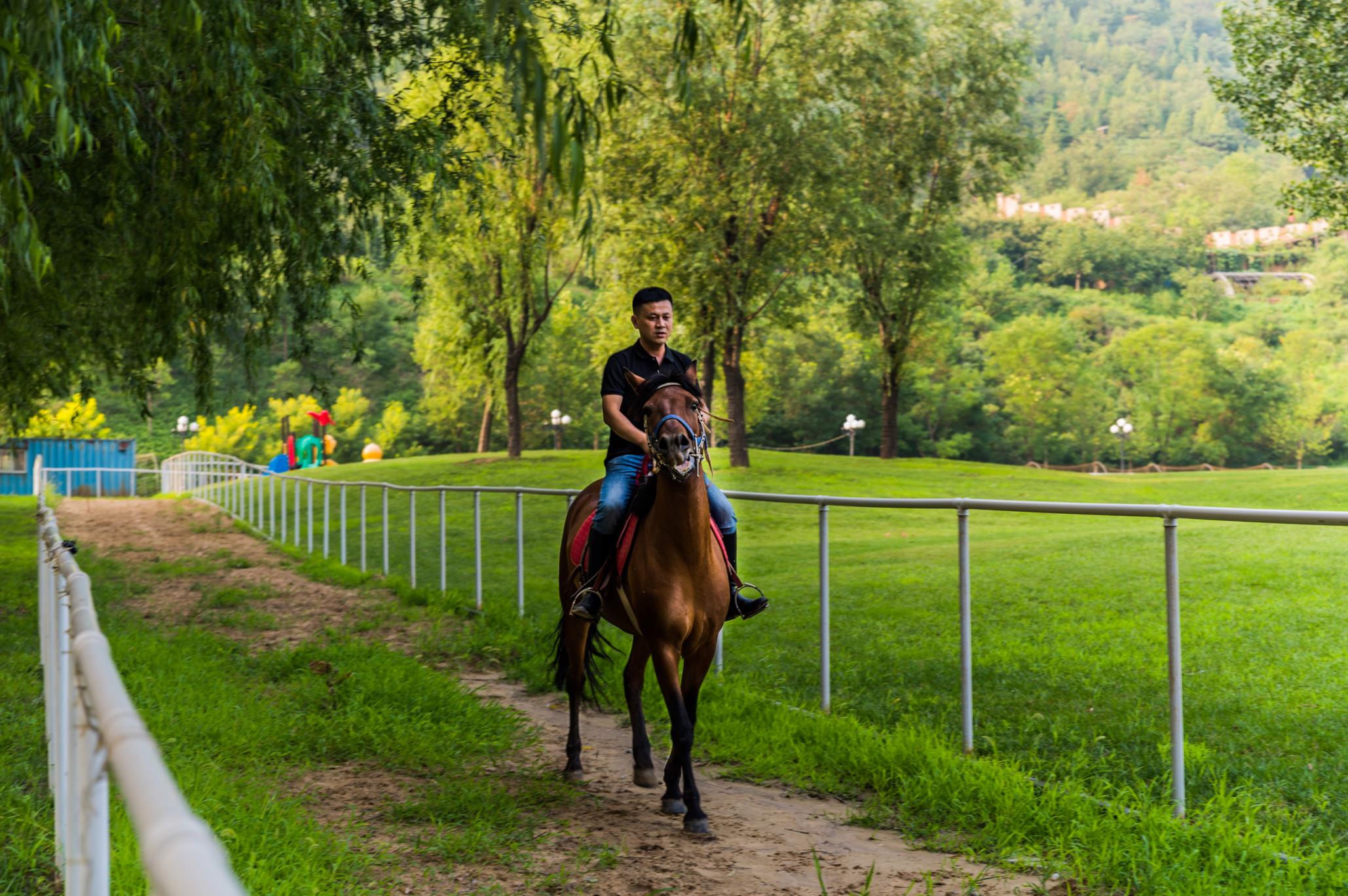 天津亲子游去哪里玩,天津周边自驾亲子游