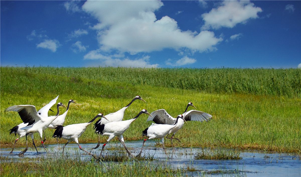 龙江暑期旅游,龙江旅游七日游