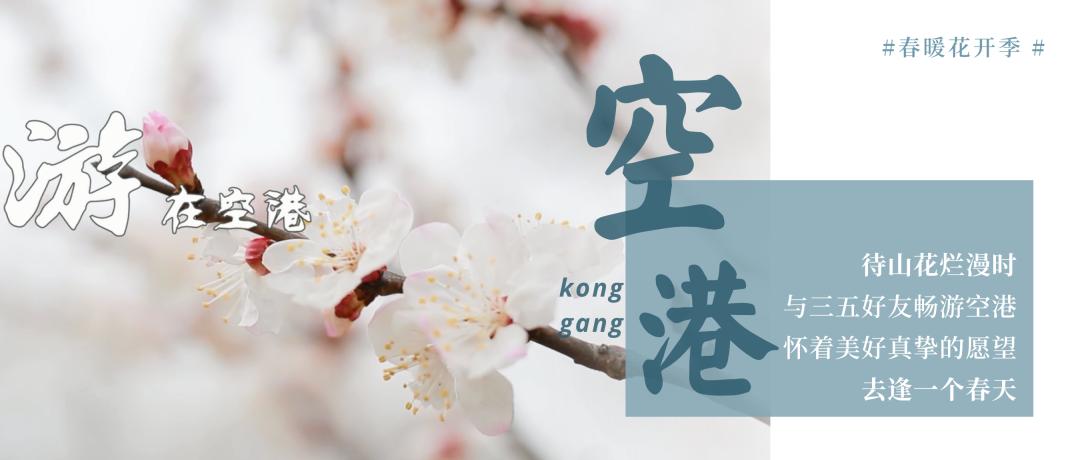 绌烘腐鑺辩敯濂界編,绌烘腐鑺辩敯鐪熺編