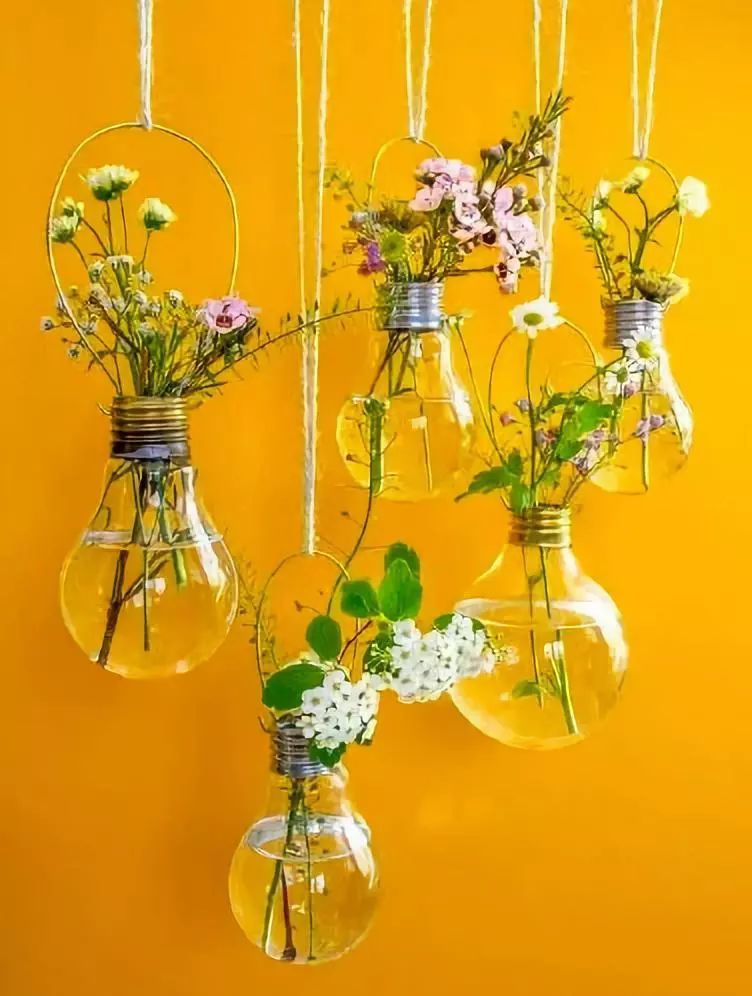 室雅何须大，花香不在多，在小屋里赏花种草，把日子过得刚刚好