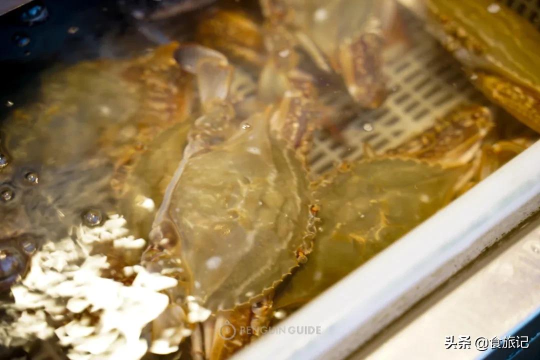 广州最大的海鲜水产批发市场,南京最大的水产批发市场在哪里