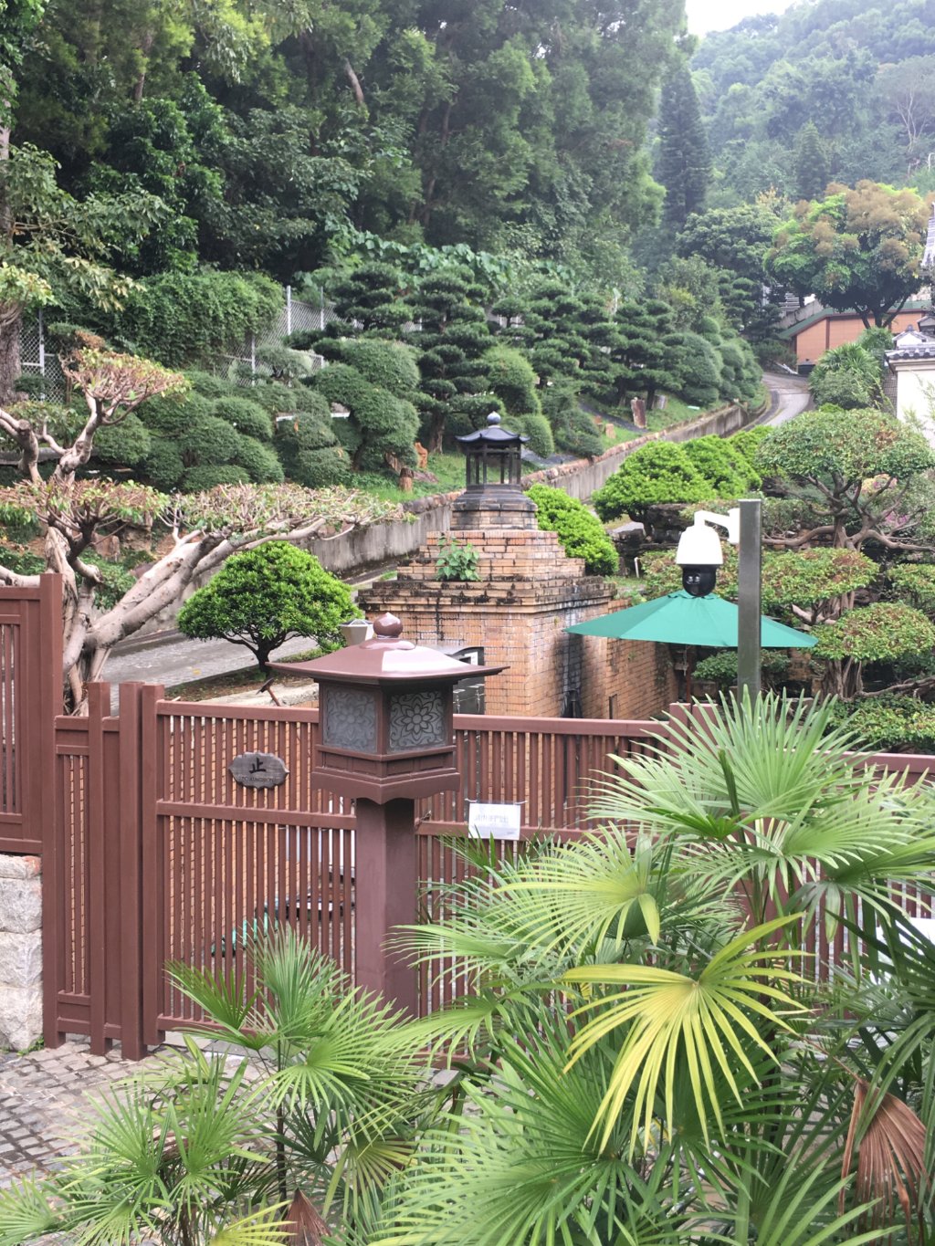 香港志莲净苑地图,香港志莲净苑好玩吗