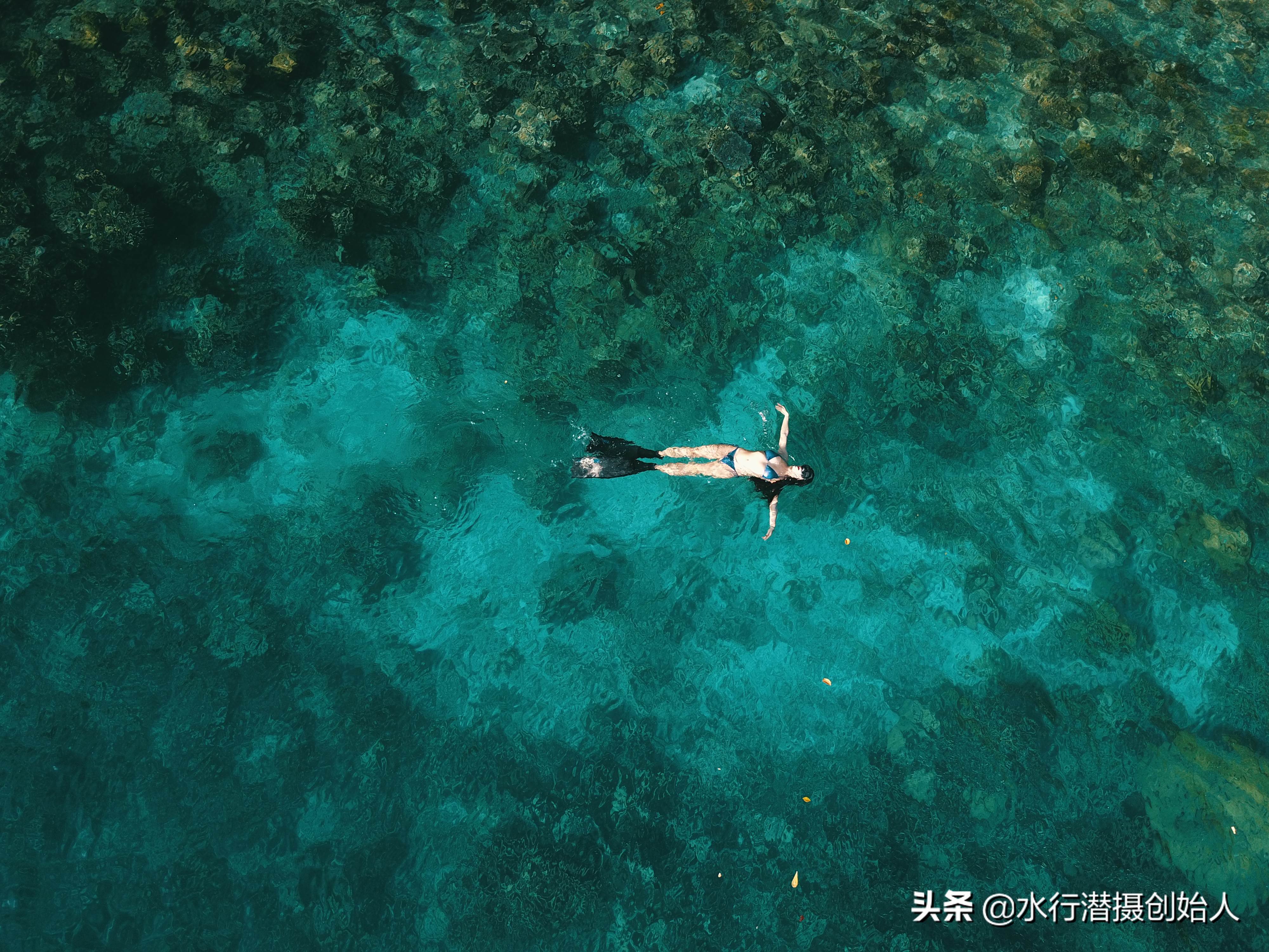 帕劳岛自由行潜水,帕劳水母湖自由潜视频