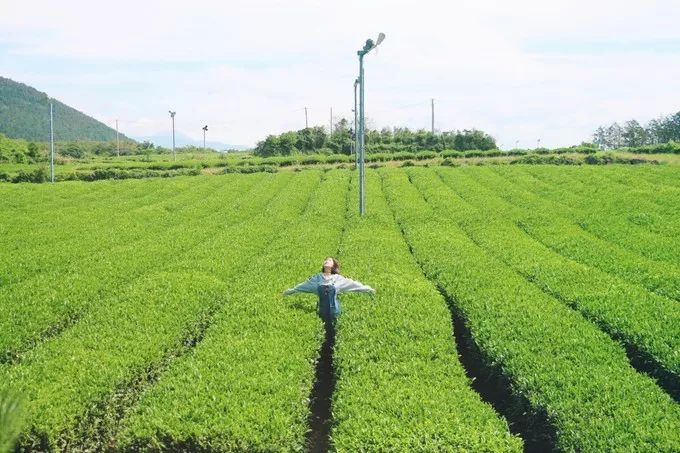 济州岛俩人旅游攻略,济州岛双人跟团旅游费用