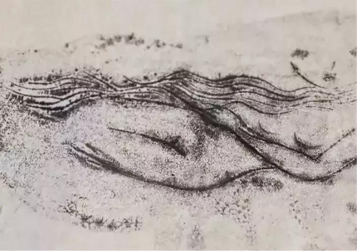 神秘的藏地精灵，米拉子子与米拉的故事