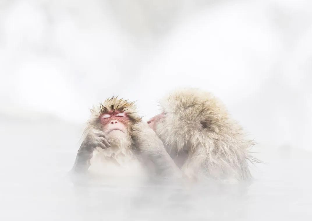 世界摄影构图大赛作品,摄影获奖的技巧和方法