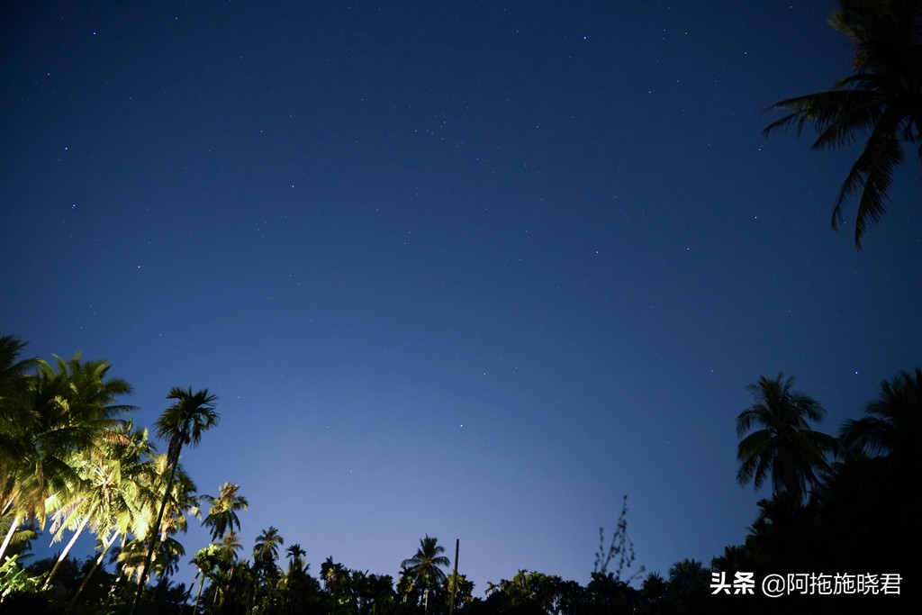 漫步其中尽享清新惬意,漫步海边椰林