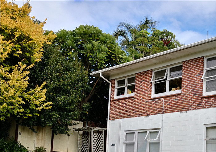 新西兰居住时间,新西兰居家办公