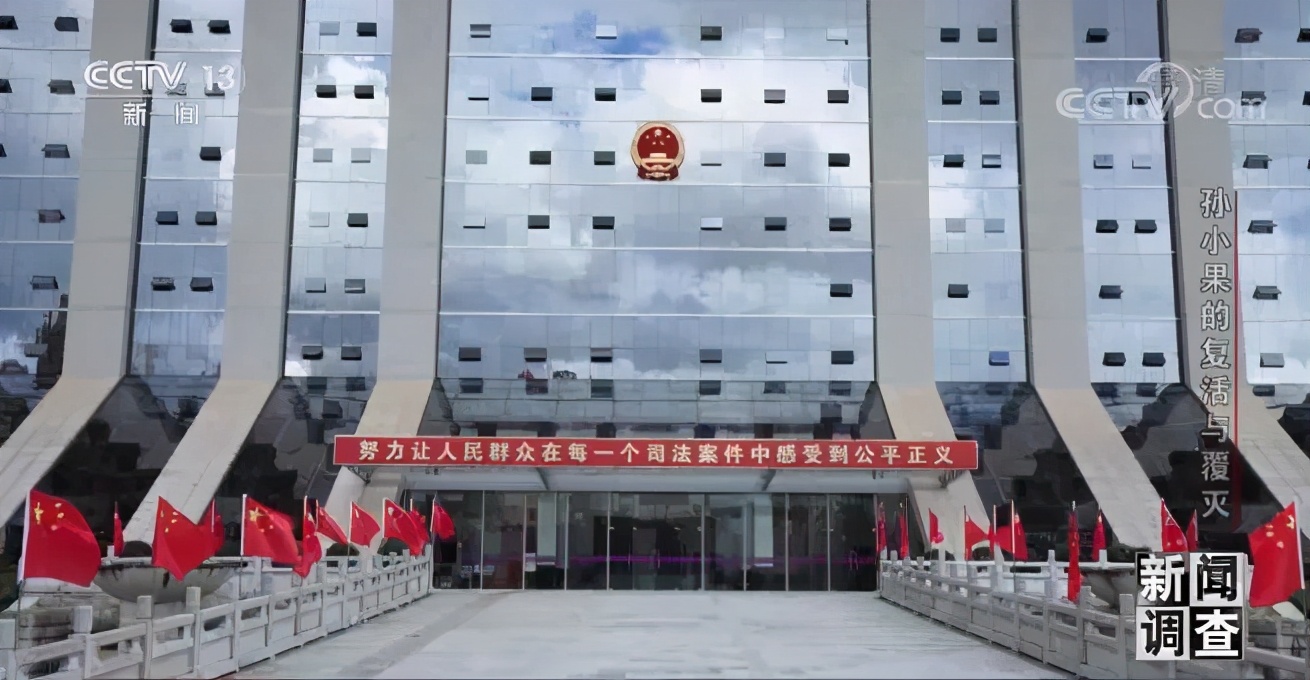 社会与法孙小果,社会评论孙小果