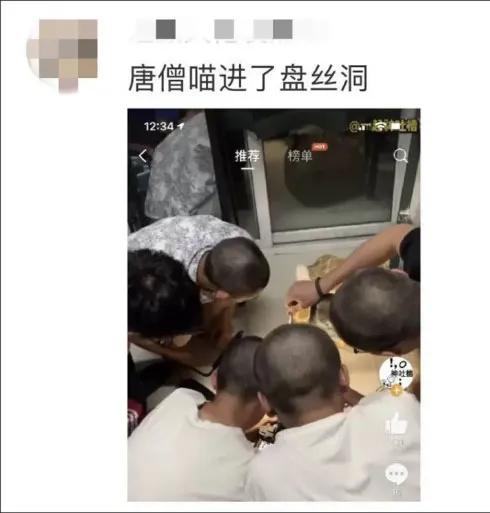 自从有了猫,自从有了猫慢慢变多余