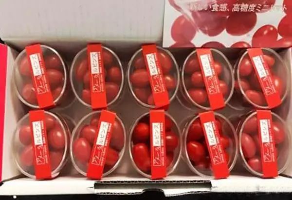 日本人就从来不抱怨苹果太贵