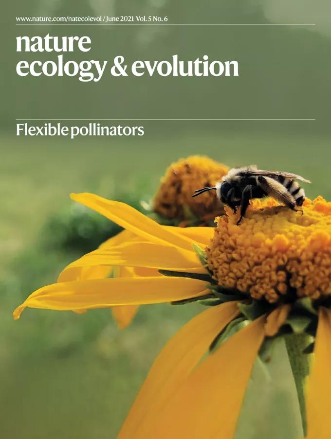 自然期刊封面,最新自然期刊