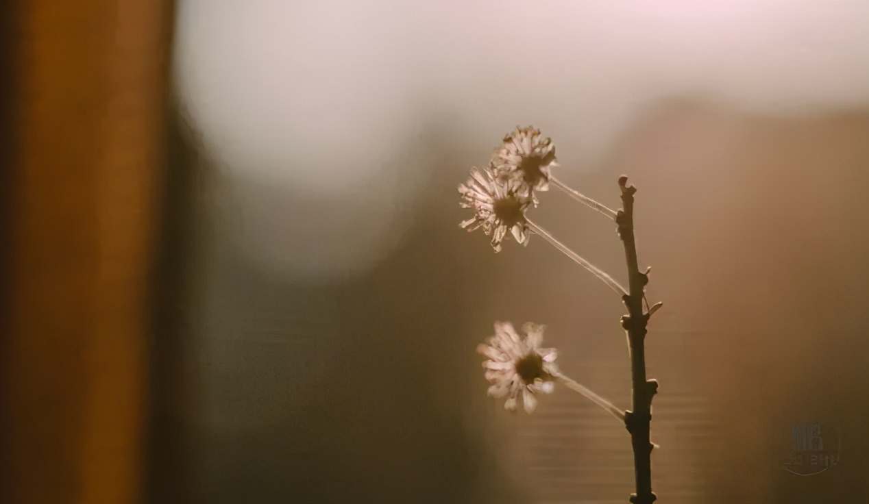 一个人的最高境界是什么藏于心,一个人的最高境界是悟透自己