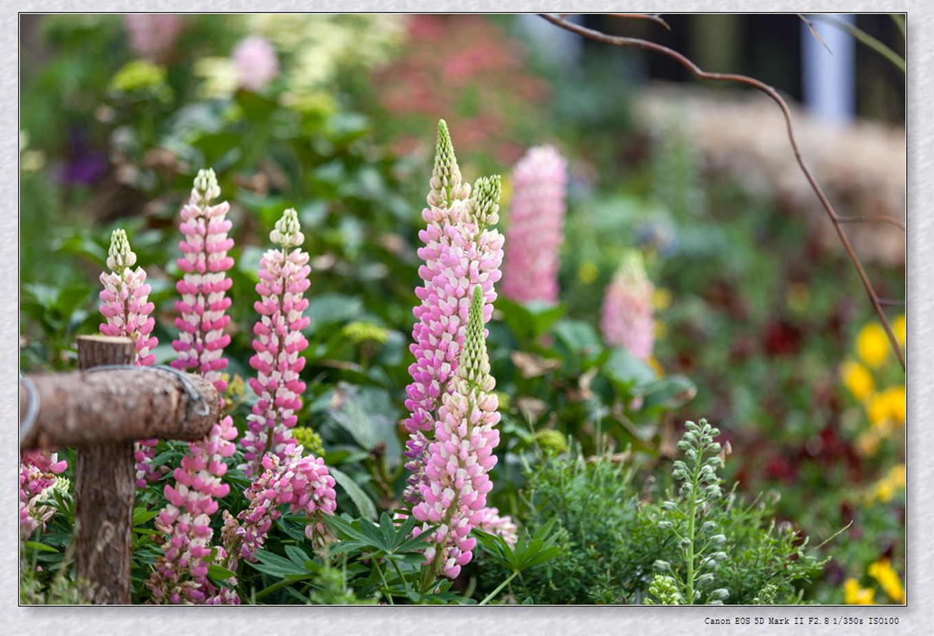 常州旅游东方盐湖城,骆驼之旅视频