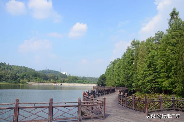 广州白云山是广州最高的山吗,大夫山白云山哪个风景更好