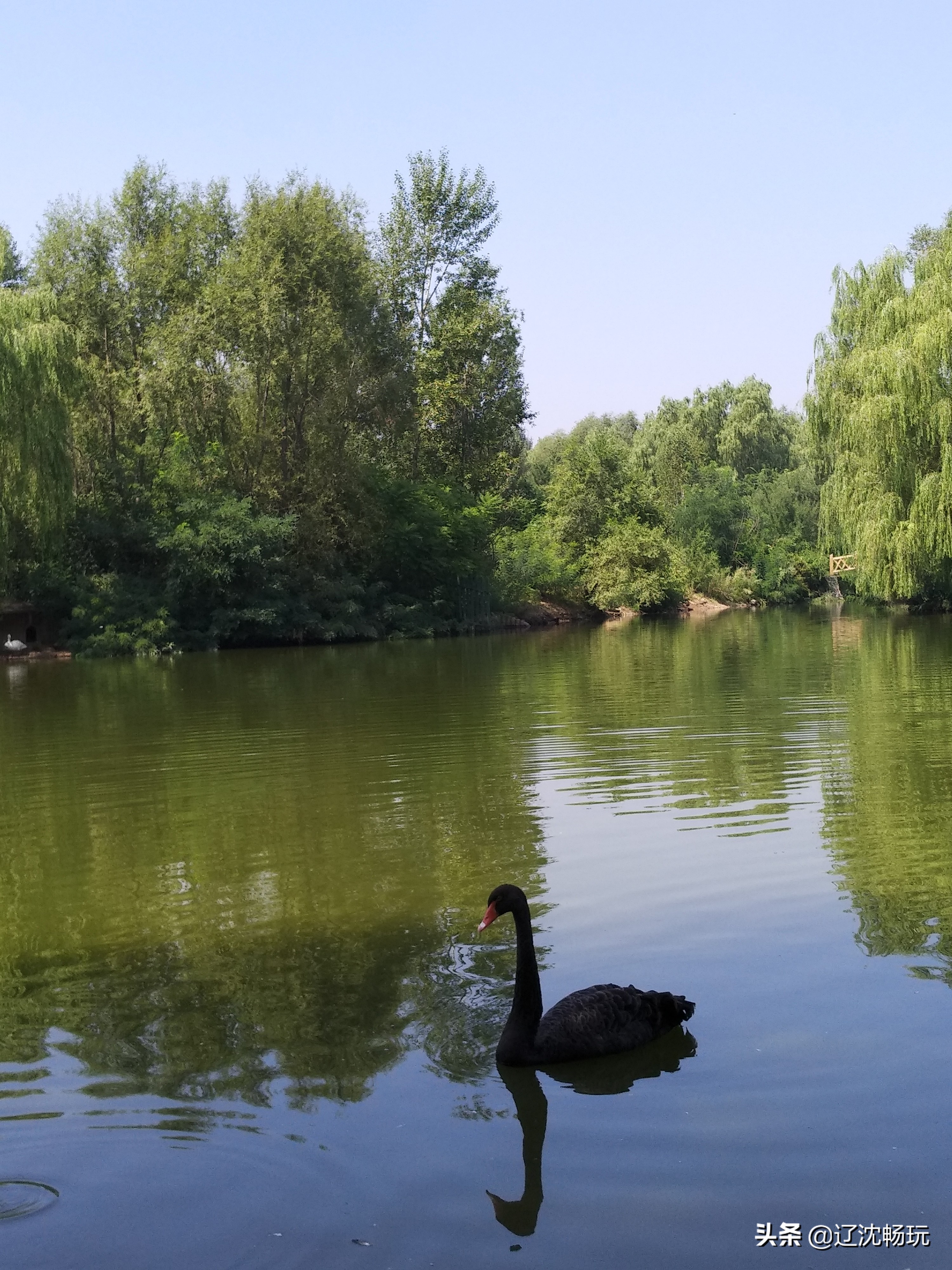 沈阳旅行推荐夏季景点攻略,沈阳冬日周边一日游旅游景点推荐