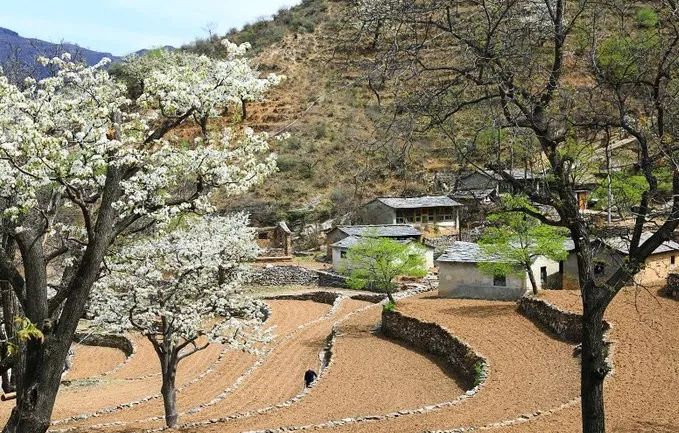 到了京郊这些花开四溢的“仙境”，您简直可以把日子过成诗！